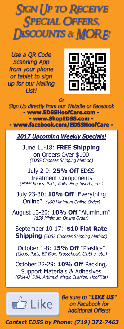 specials-summer-fall-2017.jpg specials-summer-fall-2017.jpg